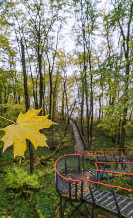 metal stair in autumn forest