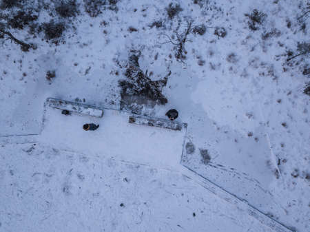 Winter forestの写真素材