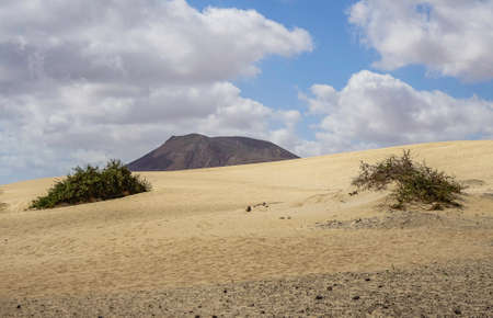 Landscape Dunes Of Corralejo, Fuerteventura, Canary Islands, Spain.の写真素材