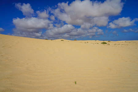 Landscape Dunes Of Corralejo, Fuerteventura, Canary Islands, Spain.の写真素材