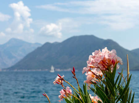 Beautiful landscape and sea in Montenegroの写真素材
