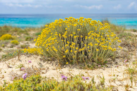 Beautiful Landscape in Menorca, Spainの写真素材