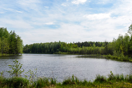 lake and forest and the blue sky.の写真素材