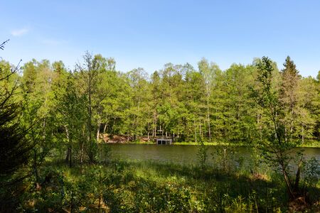lake and forest and the blue sky.の写真素材