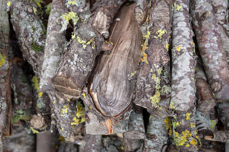 Old Wood burning stove. Firewood for furnace heating. Warehouse for firewood for stove.Natural...