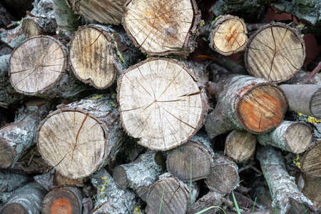 Old Wood burning stove. Firewood for furnace heating. Warehouse for firewood for stove.Natural wooden background Firewood stacked and prepared for winter Pile of wood logsの写真素材
