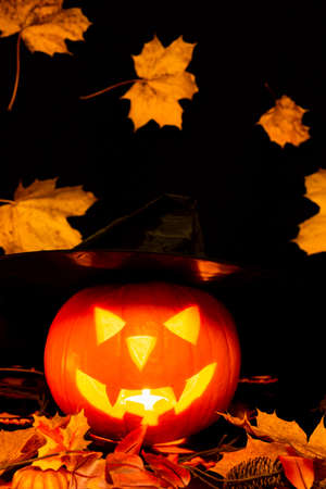 Halloween Still Life Colorful Theme Scary Decorated Dark and yellow maple leaves Room with Burning Pumpkin, Witch's Hat In Background yellow leavesの写真素材