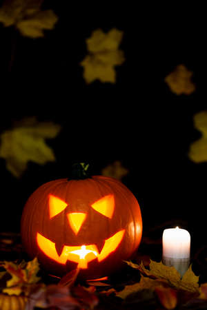 Halloween Still Life Colorful Theme Scary Decorated Dark and yellow maple leaves Room with Burning Pumpkin, Candlestick, In Background yellow leavesの写真素材