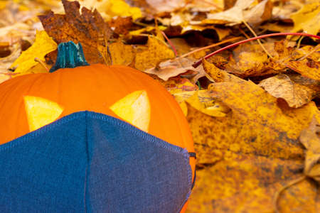 Halloween pumpkin,black medical mask on the background of yellow maple leaves outdoors halloween conceptの写真素材