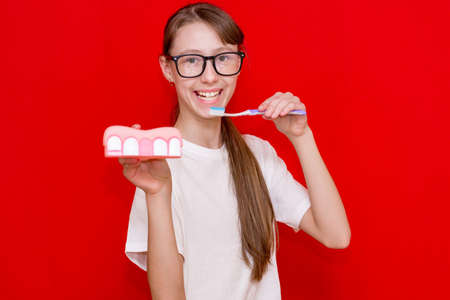 Teenager girl demonstrating brushing teeth holding plastic dental models on red studio wall.The girl...