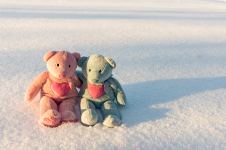 Two small teddy bears are sitting on a snow at winter sunny evening.Valentines day concept.の写真素材