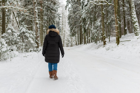 Woman walking on winter forest park,back view. outdoors shot. Winter lifestyle concept.の写真素材