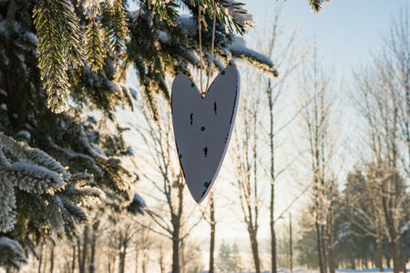 One silhouette wooden heart hung on a spruce branch at sunset evening in a winter park.の写真素材