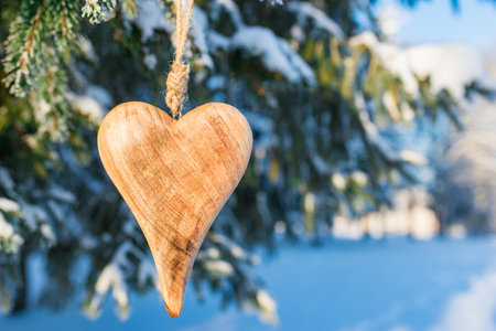 One wooden heart hung on a spruce branch at sunset evening in a winter park.Valentines day concept.の写真素材