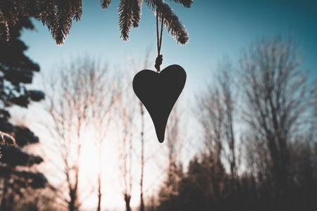 One silhouette wooden heart hung on a spruce branch at sunset evening in a winter park.Toned image.の写真素材