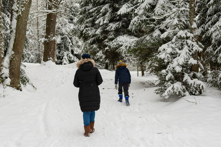 Mother and son walking together on a forest track in winter time back view.の写真素材
