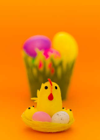 Yellow chick seat on a nest with colored plastic Easter eggs on yellow background
