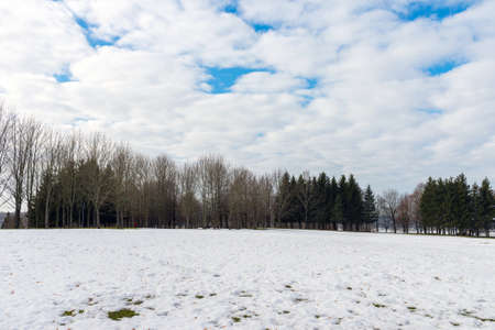 Melting white snow next to a forest on a winter day.White clouds blue sky.Spring landscape.の写真素材
