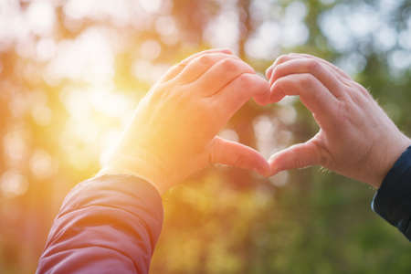 Heart with hands outdoors on sunny day at forest, close-up.の写真素材