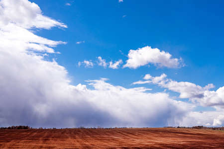 White cloud blue sky over brown field.wallpaper screen.Beautiful landscape.