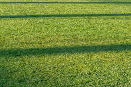Texure of green grass field lawn with lighting signs at the soccer stadium outdoors.Selective...