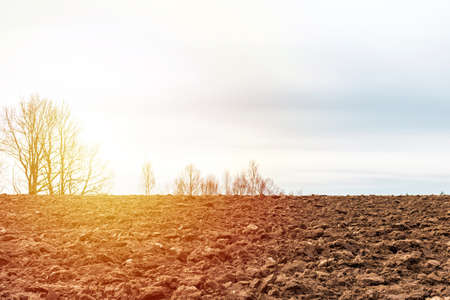 Huge plowed rural field, early spring morning.Agricultural rural background.Sunrise morning.Closeup.の写真素材