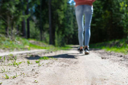 Rear view photo of female tourist legs with sneakers walking in a forest road.Summer day sunshine.Selective focus.Soft focus.の写真素材
