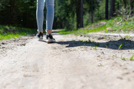Rear view photo of female tourist legs with sneakers walking in a forest road.Summer day sunshine.Selective focus.Soft focus.の写真素材