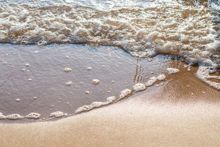 Soft wave of the sea on the sandy evening beach.Soft focus,blurred image.Copy space.