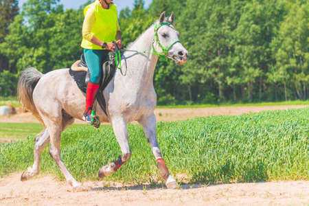 Competitor rival girl riding horse in summer field meadow.Young rider gallops through the summer sunny day.rivalry concept.の写真素材