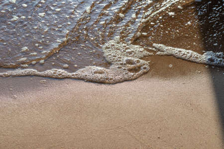 Soft wave of the sea on the sandy evening beach.Soft focus,blurred image.Copy space.