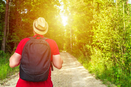 Traveler young man walking on path in the summer forest.Back view of young man with backpack traveling alone forest on warm summer evening.Tourism and active lifestyle concept.の写真素材