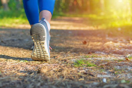 Woman walking or hiking trail in forest.Walking,running legs in forest, adventure and exercising in...