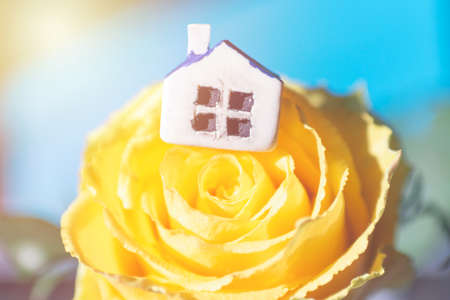 Miniature toy house standing on yellow flower rose and sun blurred multicolored background.Closeup.Selective focus.の写真素材