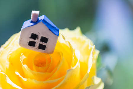 Miniature toy house standing on yellow flower rose blurred multicolored background.Closeup.Selective focus.の写真素材