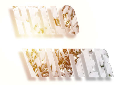 Hello Winter text on winter forest snowy spruce white background.