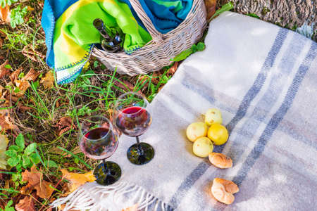 Basket,blanket,wine and glasses on yellow autumn leaves,next to a tree. A cozy autumn picnic in the park, a nice sunny autumn day.Top view.の写真素材