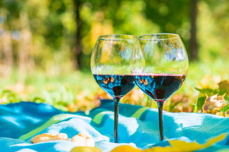 Two wine glasses cozy autumn picnic in the park apple and wine on warm plaid in yellow autumn leaves.Autumn outdoors picnic at sunny park.Selective focus.Blurred background.の写真素材