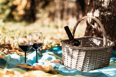 Basket,blanket,wine and glasses on yellow autumn leaves,next to a tree. A cozy autumn picnic in the park, a nice sunny autumn day.Copy space.の写真素材