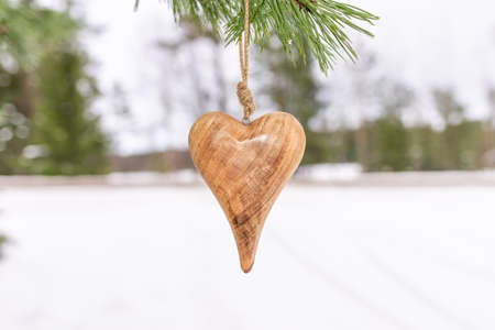 Wooden heart Pine branch in winter snow close up. Snow fir branch in forest. a symbol of romantic love in the snow on a spruce branch, Valentine's Day concept.Copy space.の写真素材