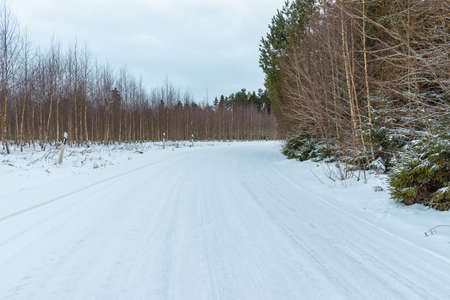 Empty snow covered road in winter landscape.Snowy Road through a forest Landscape in Winter Cloudy Day.の写真素材