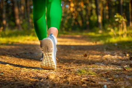 Woman running or walking on nature green blurred background.Health exercise concept.Sunny Nature summer evening park.Closeup.の写真素材