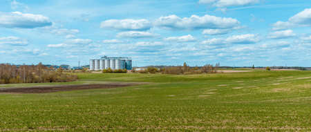 Silver silos on agro manufacturing plant for processing drying cleaning and storage of agricultural...