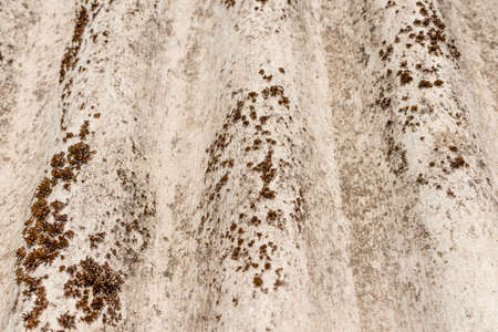 Old dangerous asbestos roof. Asbestos dust in the environment. Health problems.closeup.の写真素材