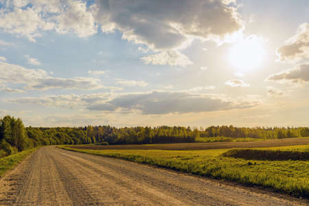 Empty Sandy country road near the forest,fluffy clouds,summer evening sunset landscape.の写真素材