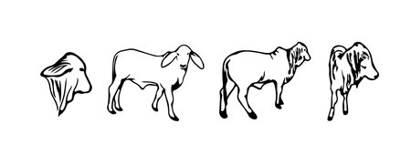 EID AL ADHA GRAPHIC ILLUSTRATION MUSLIM TRADITIONのイラスト素材