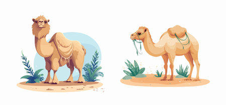 camel in desert set different style flat vector illustrationのイラスト素材