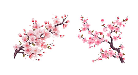 bloom sakura branch flower set element decoration vector illustrationのイラスト素材