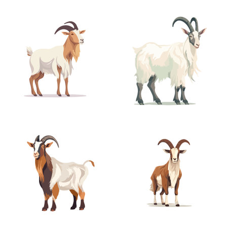 goats stands on a white background Vector illustrationのイラスト素材
