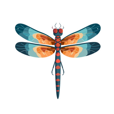 dragonfly clip art vector illustration isolatedのイラスト素材